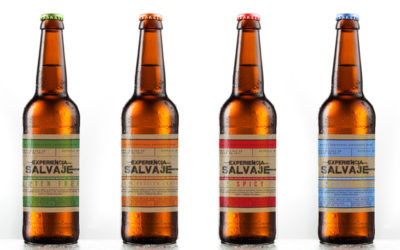 Proyecto de cervezas artesanales