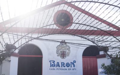 GLN mira al sur con Bodegas Barón